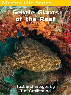 cover image of Goliath Grouper... Gentle Giants of the Reef